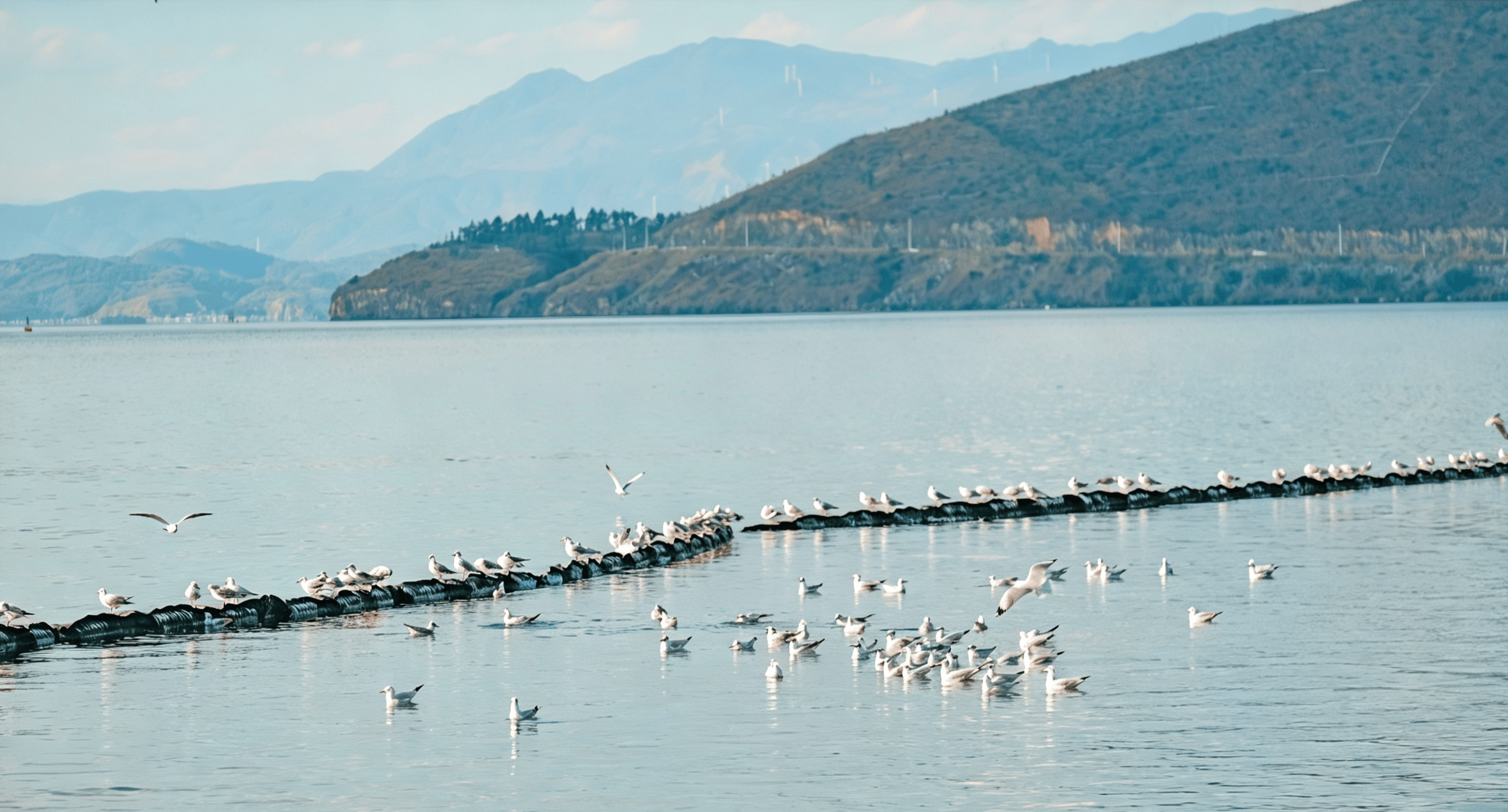 Erhai Lake